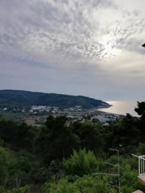 TAVAGLIONE Maria Michela Peschici